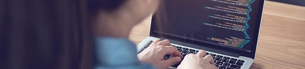 A person looking at computer code on a monitor.